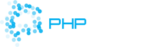 PHPGurus Groningen detachering werving & selectie
